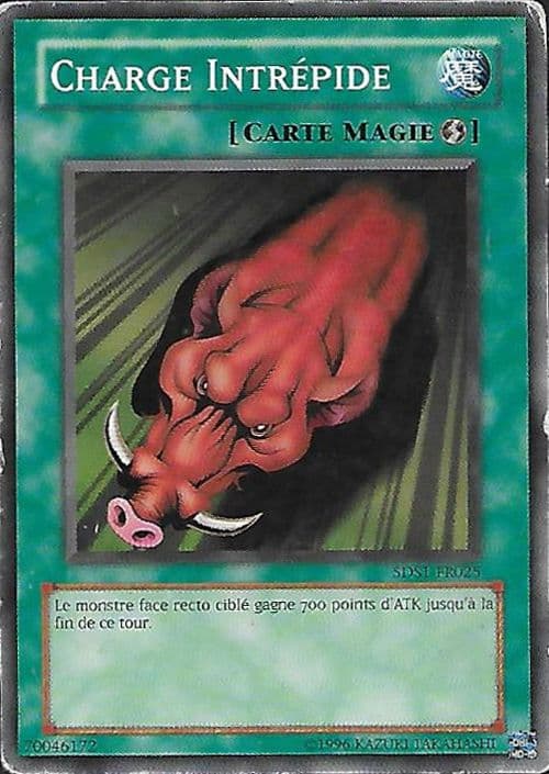 Carte 5DS1-FR025