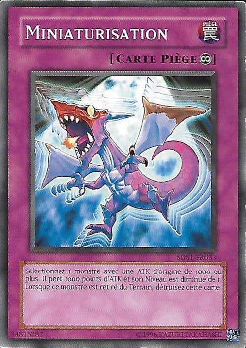 Carte 5DS1-FR033