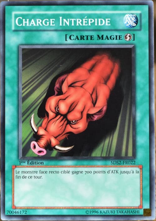 Carte 5DS2-FR022