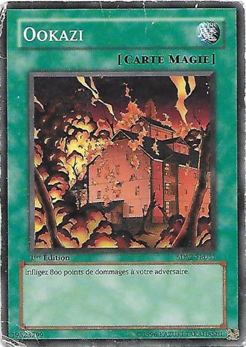 Carte 5DS2-FR031
