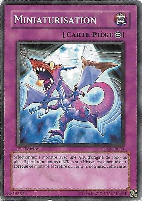 Carte 5DS2-FR039