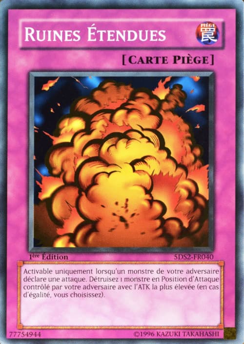 Carte 5DS2-FR040