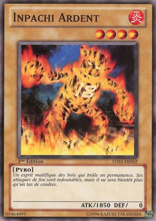 Carte 5DS3-FR002