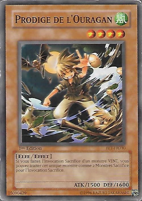 Carte FET-FR030