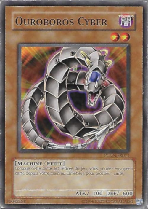 Carte PTDN-FR011