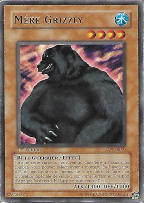 Carte SD4-FR005