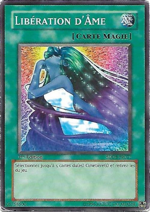 Carte SDDE-FR021