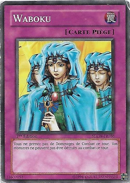 Carte SDZW-FR036