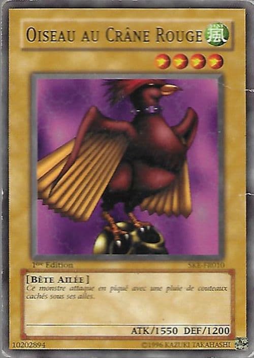 Carte SKE-FR010