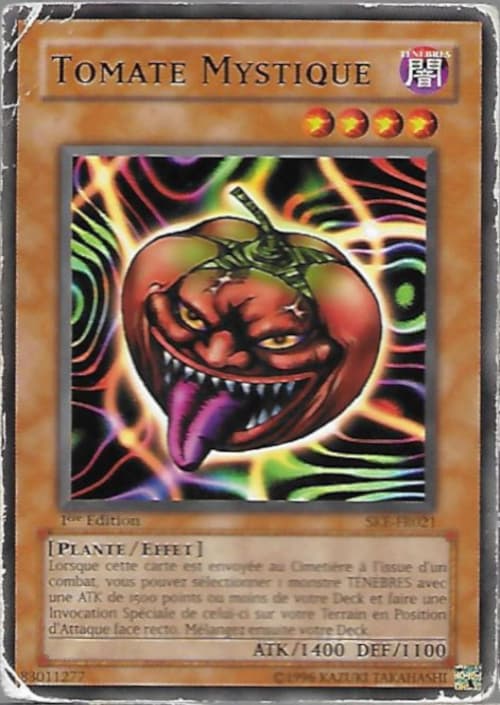 Carte SKE-FR021