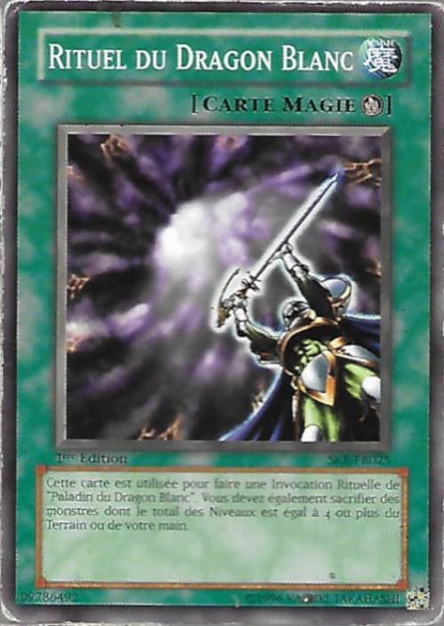 Carte SKE-FR025