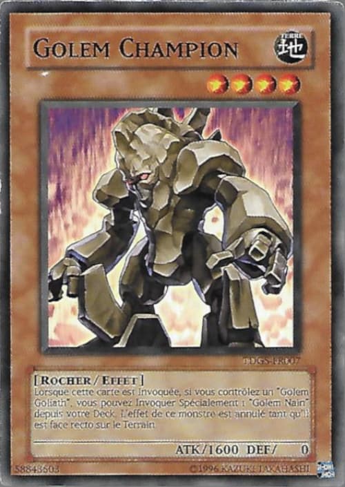 Carte TDGS-FR007
