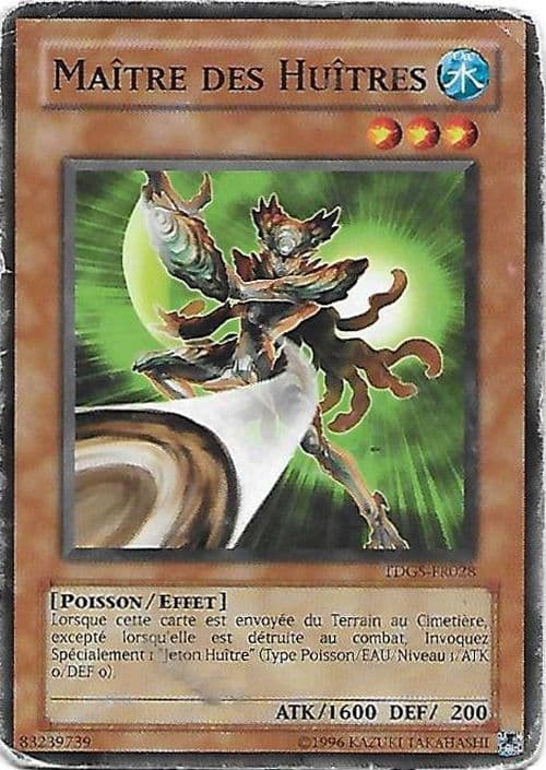 Carte TDGS-FR028