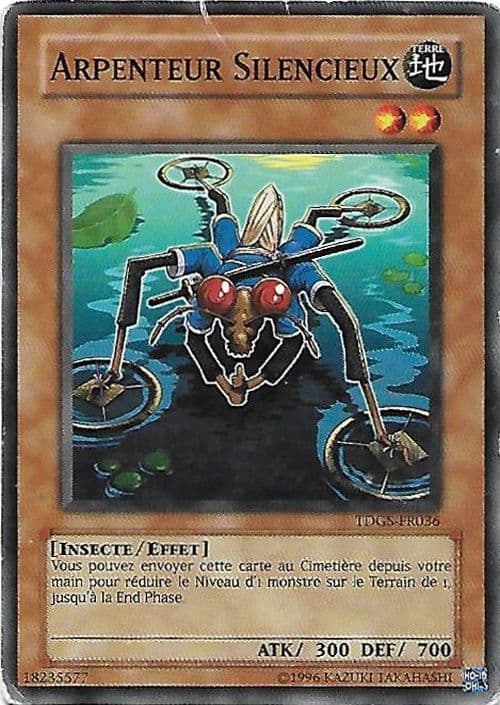 Carte TDGS-FR036