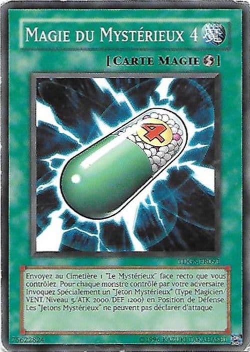 Carte TDGS-FR091