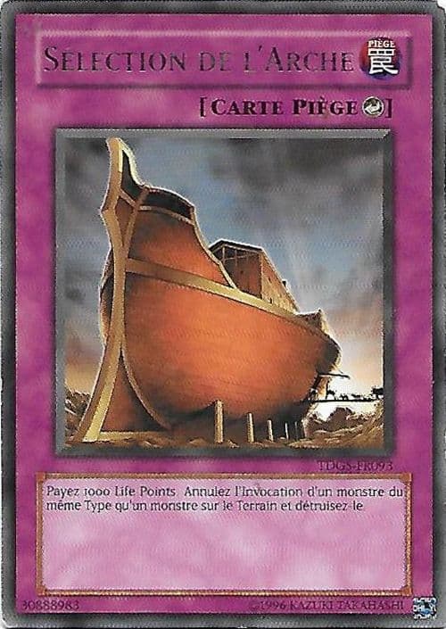 Carte TDGS-FR093