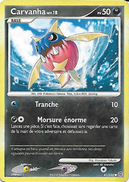 Carte Diament et Perles Merveilles Secretes-81