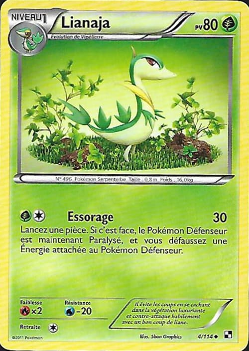 Carte Noir et Blanc-4
