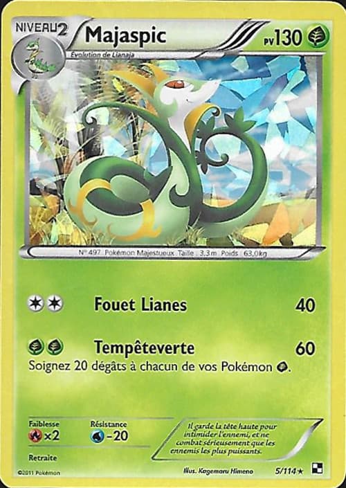 Carte Noir et Blanc-5
