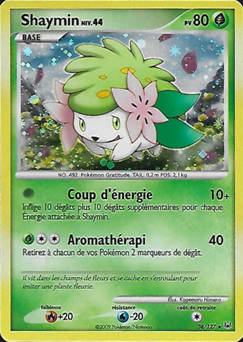 Carte Platine-38
