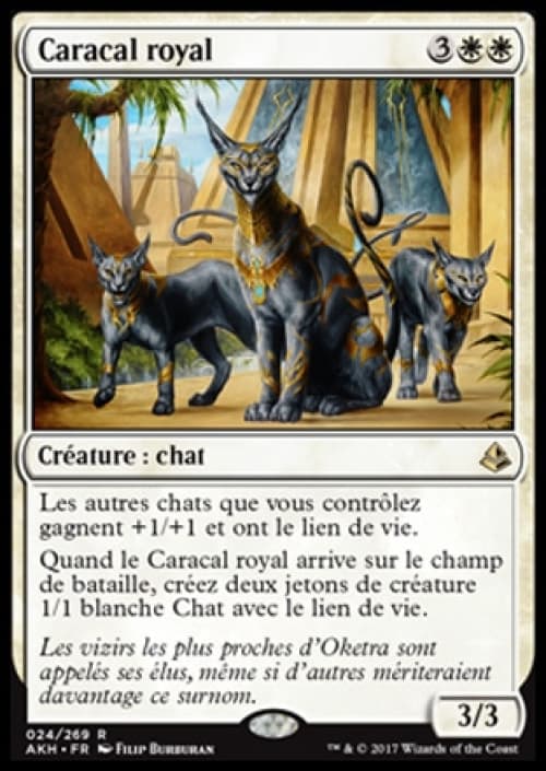 Carte AKH-024