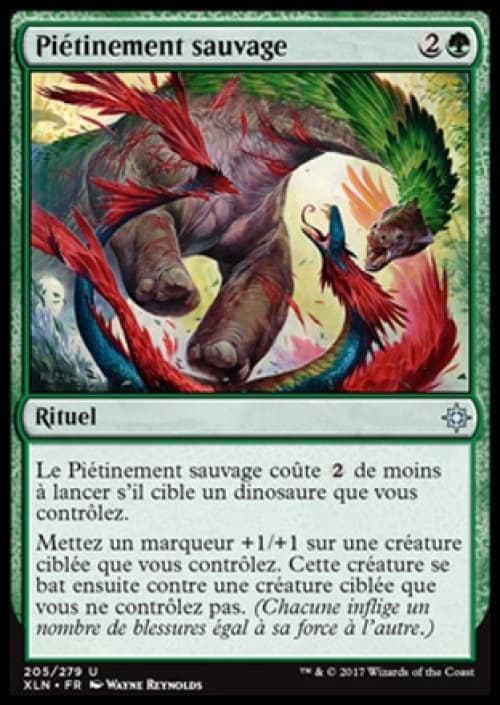 Carte XLN-205