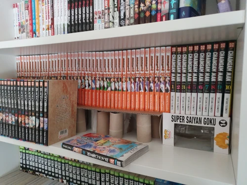 Comment ranger ses mangas - Gestion collection